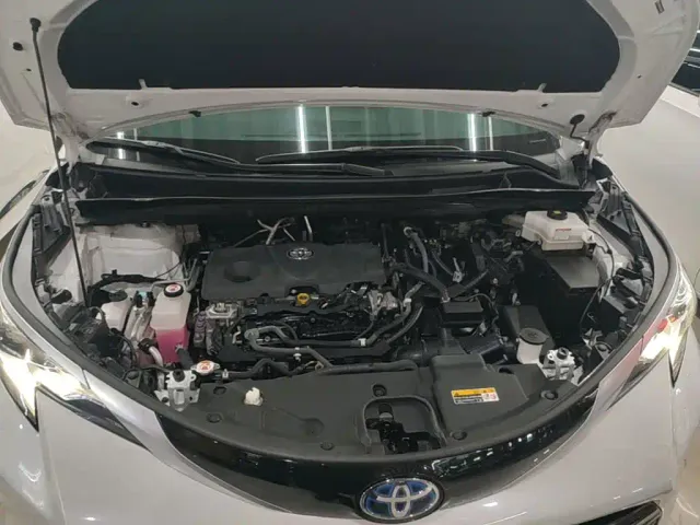 Toyota Toyota Sienna 2021 2.5L Hybrid Luxury Welfare Edition — Фото автомобиля 19