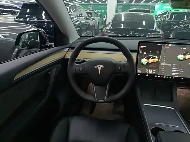 Tesla Model Y — Фото автомобиля 10