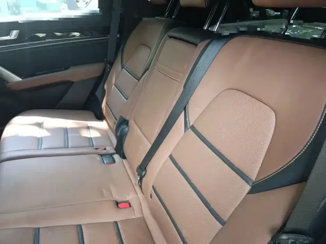 BYD Tang New Energy 2021 DM 2.0T 4WD Performance Premium — Фото автомобиля 18