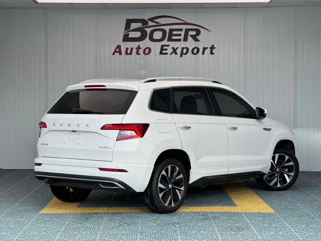Skoda Karoq — Фото автомобиля 5