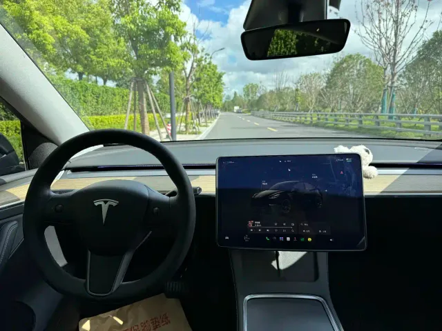Tesla Model Y — Фото автомобиля 9