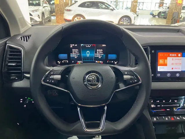 Skoda Karoq — Фото автомобиля 21