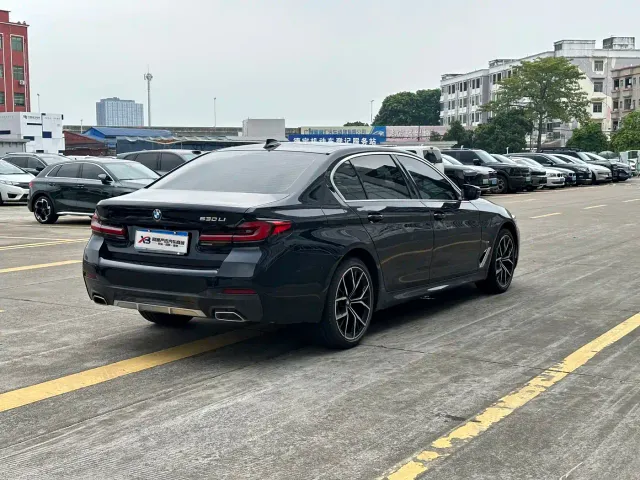 BMW BMW 5 Series 2022 Facelift II 530Li Premium Package M Sport — Фото автомобиля 6