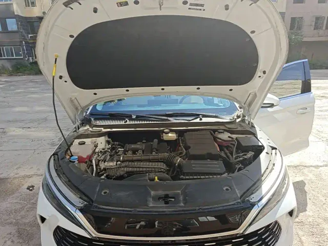 BYD Qin L — Фото автомобиля 19