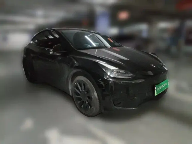Tesla Model Y — Фото автомобиля 23