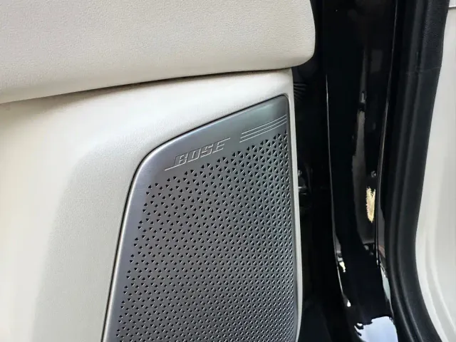 Buick Zhijing Shijia — Фото автомобиля 21