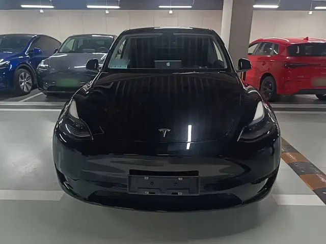 Tesla Model Y — Фото автомобиля 2