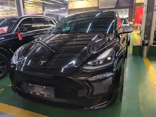 Tesla Model Y — Фото автомобиля 2