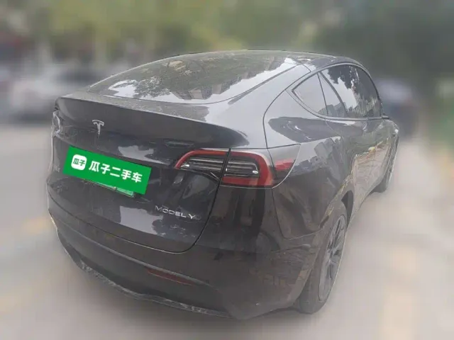 Tesla Model Y — Фото автомобиля 4