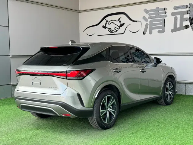Lexus RX — Фото автомобиля 13