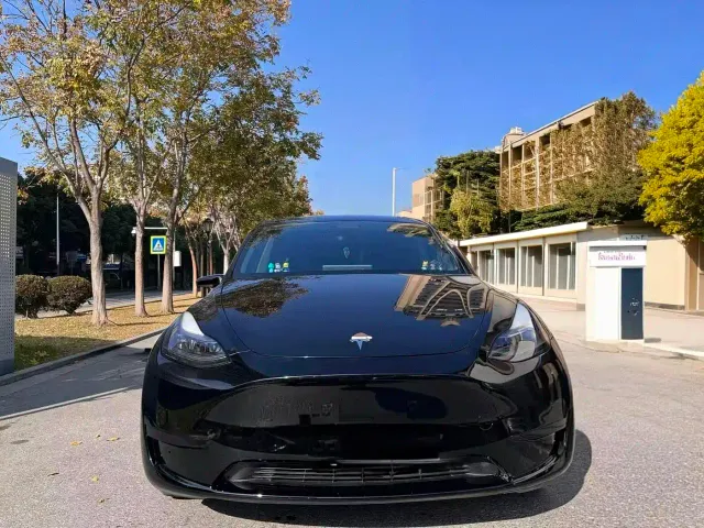 Tesla Model Y — Фото автомобиля 2