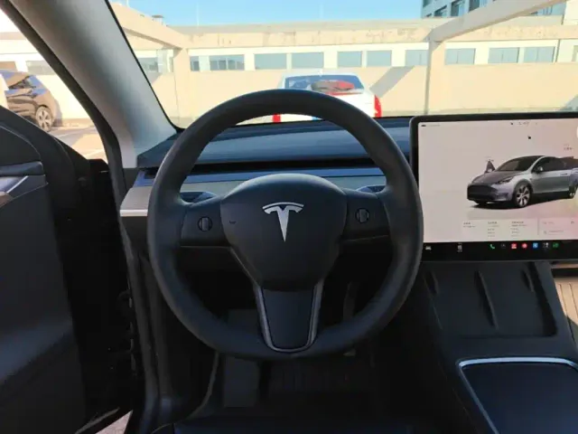 Tesla Model Y — Фото автомобиля 10