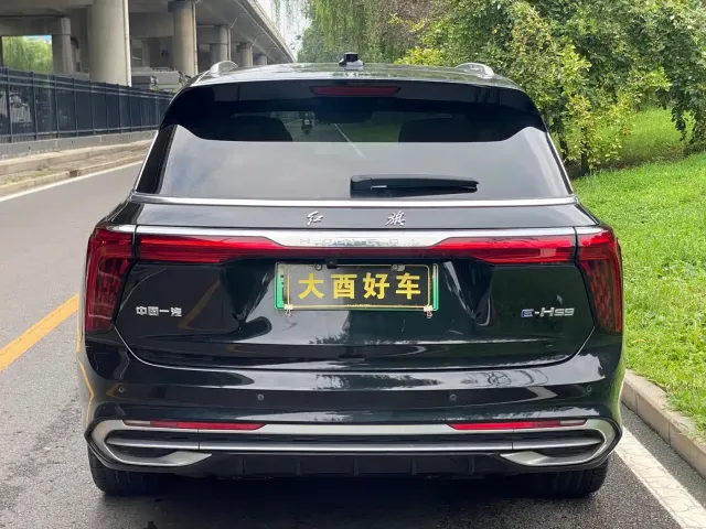 Hongqi Hongqi E-HS9 2021 460km Flagship Comfort 6-seater — Фото автомобиля 23
