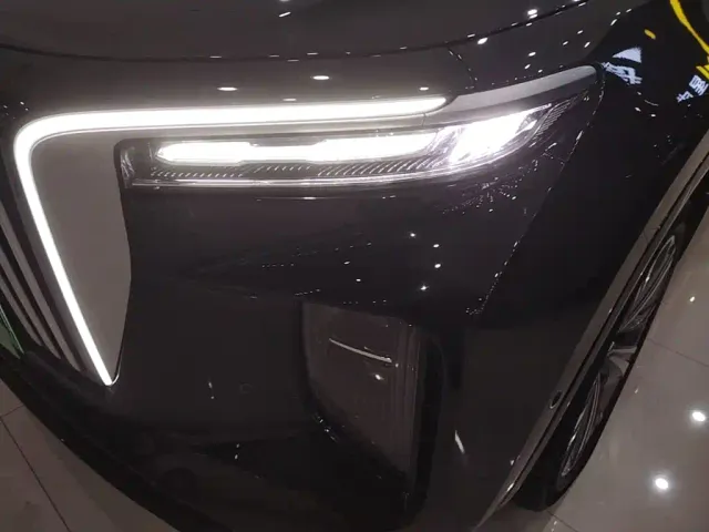 Hongqi E-HS9 — Фото автомобиля 23
