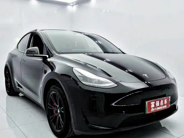 Tesla Model Y — Фото автомобиля 2
