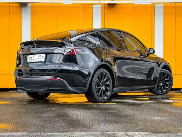 Tesla Model Y — Фото автомобиля 3