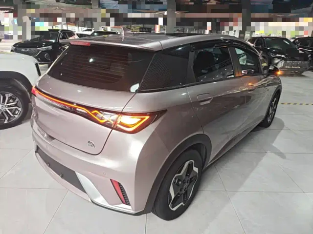 BYD Dolphin — Фото автомобиля 6