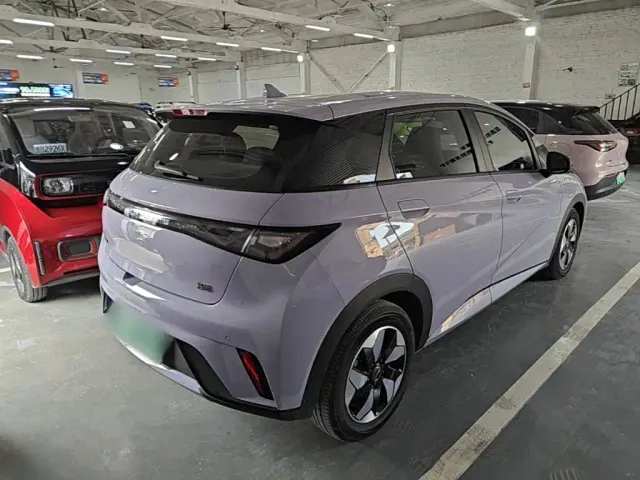BYD Dolphin — Фото автомобиля 4
