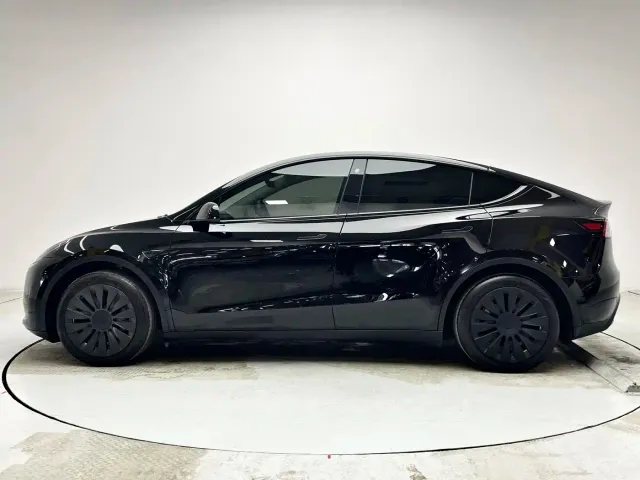 Tesla Model Y — Фото автомобиля 19