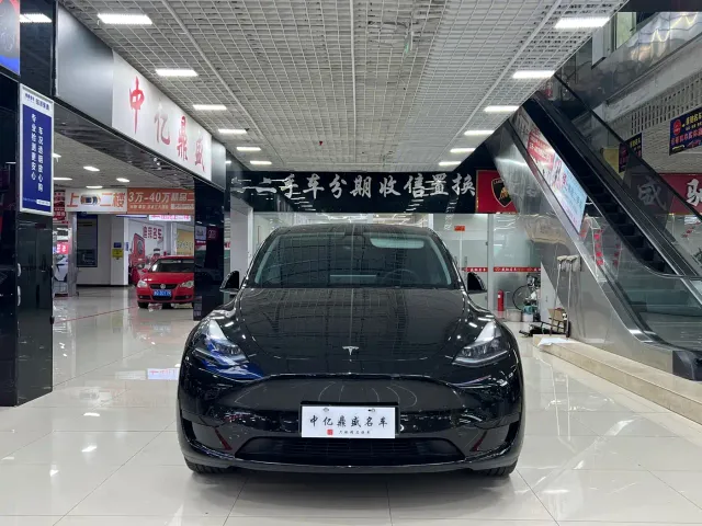 Tesla Model Y — Фото автомобиля 2