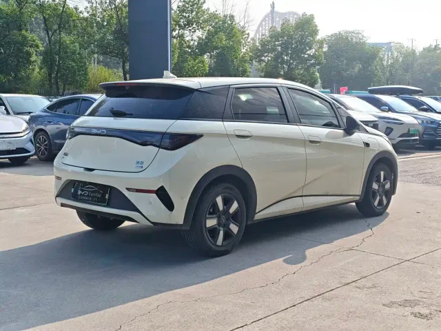 BYD Dolphin — Фото автомобиля 11