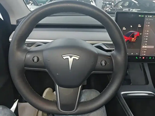 Tesla Model Y — Фото автомобиля 10