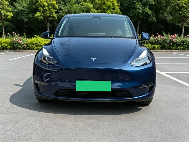 Tesla Model Y — Фото автомобиля 2