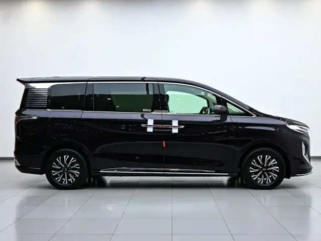 Hongqi HQ9 — Фото автомобиля 6