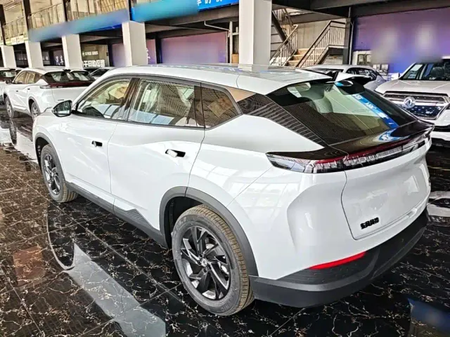 Dongfeng SKY EV01 — Фото автомобиля 22