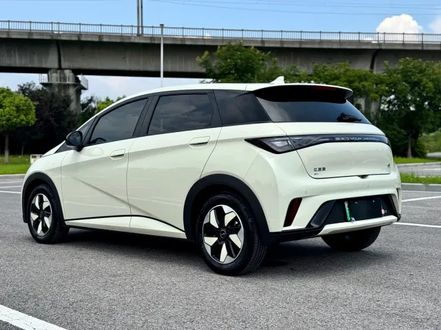 BYD Dolphin — Фото автомобиля 4