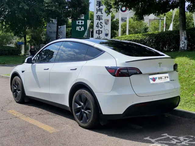 Tesla Model Y — Фото автомобиля 4