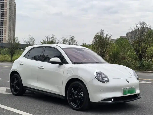 Ora Good Cat — Фото автомобиля 3