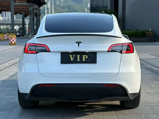 Tesla Model Y — Фото автомобиля 4