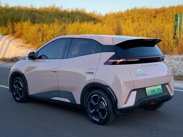 BYD Seagull — Фото автомобиля 6