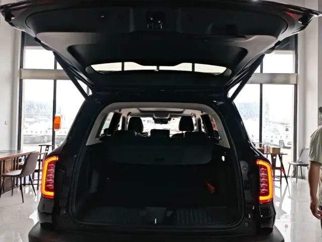 Haval Haval Big Dog 2021 1.5T DCT 2WD Border Collie Edition — Фото автомобиля 18
