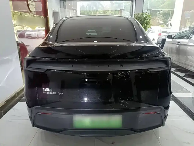 Tesla Model Y — Фото автомобиля 5