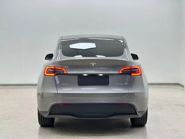 Tesla Model Y — Фото автомобиля 5