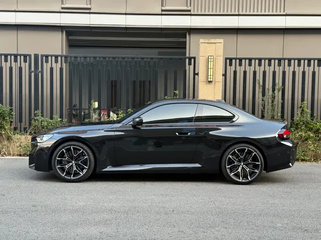 BMW M2 — Фото автомобиля 2