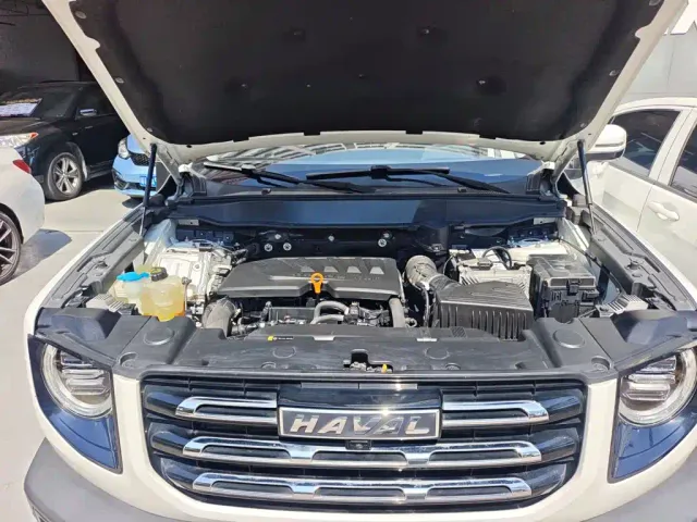 Haval Big Dog — Фото автомобиля 19