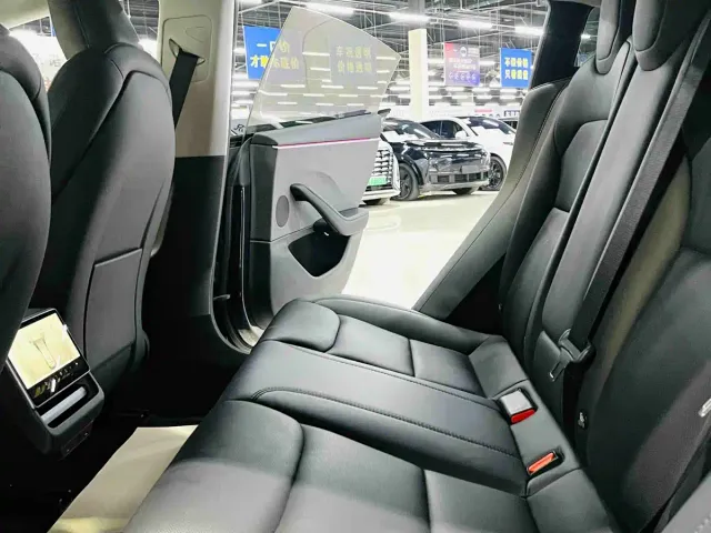 Tesla Model 3 — Фото автомобиля 8