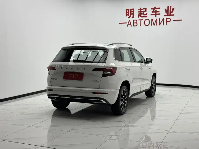 Skoda Karoq — Фото автомобиля 9
