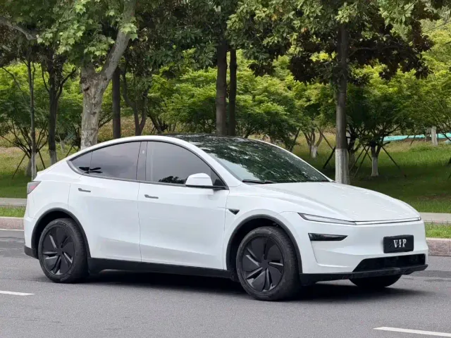 Tesla Model Y 2025 Rear-Wheel Drive — Фото автомобиля 3