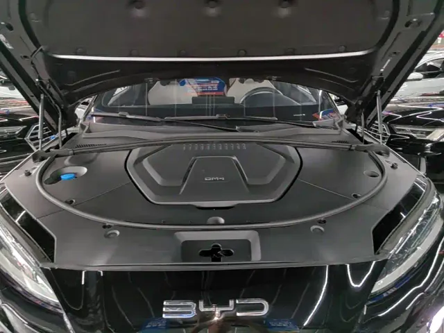 BYD Song PLUS — Фото автомобиля 19