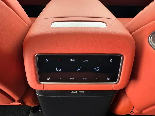 BYD Tang L — Фото автомобиля 7