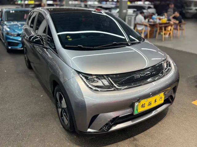BYD Dolphin — Фото автомобиля 3