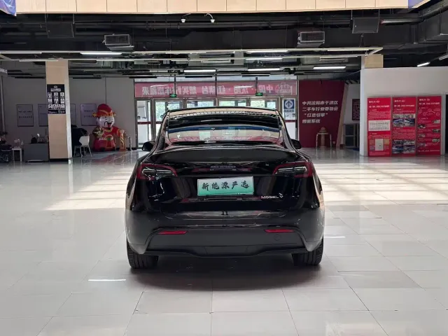 Tesla Model Y — Фото автомобиля 8