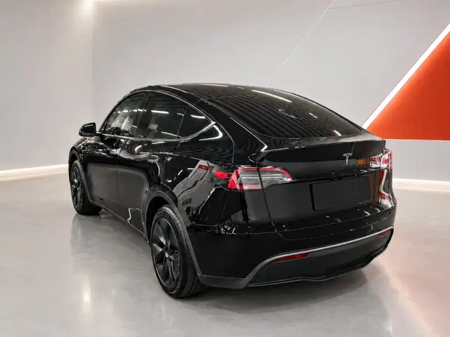Tesla Model Y — Фото автомобиля 4
