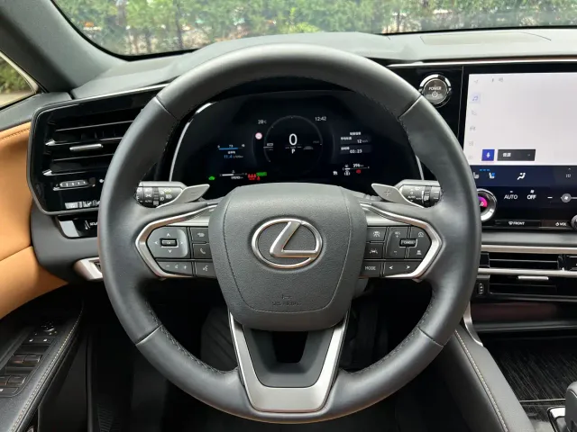 Lexus RX — Фото автомобиля 19