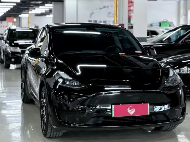Tesla Model Y — Фото автомобиля 3