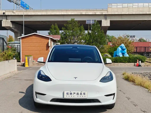 Tesla Model Y — Фото автомобиля 2